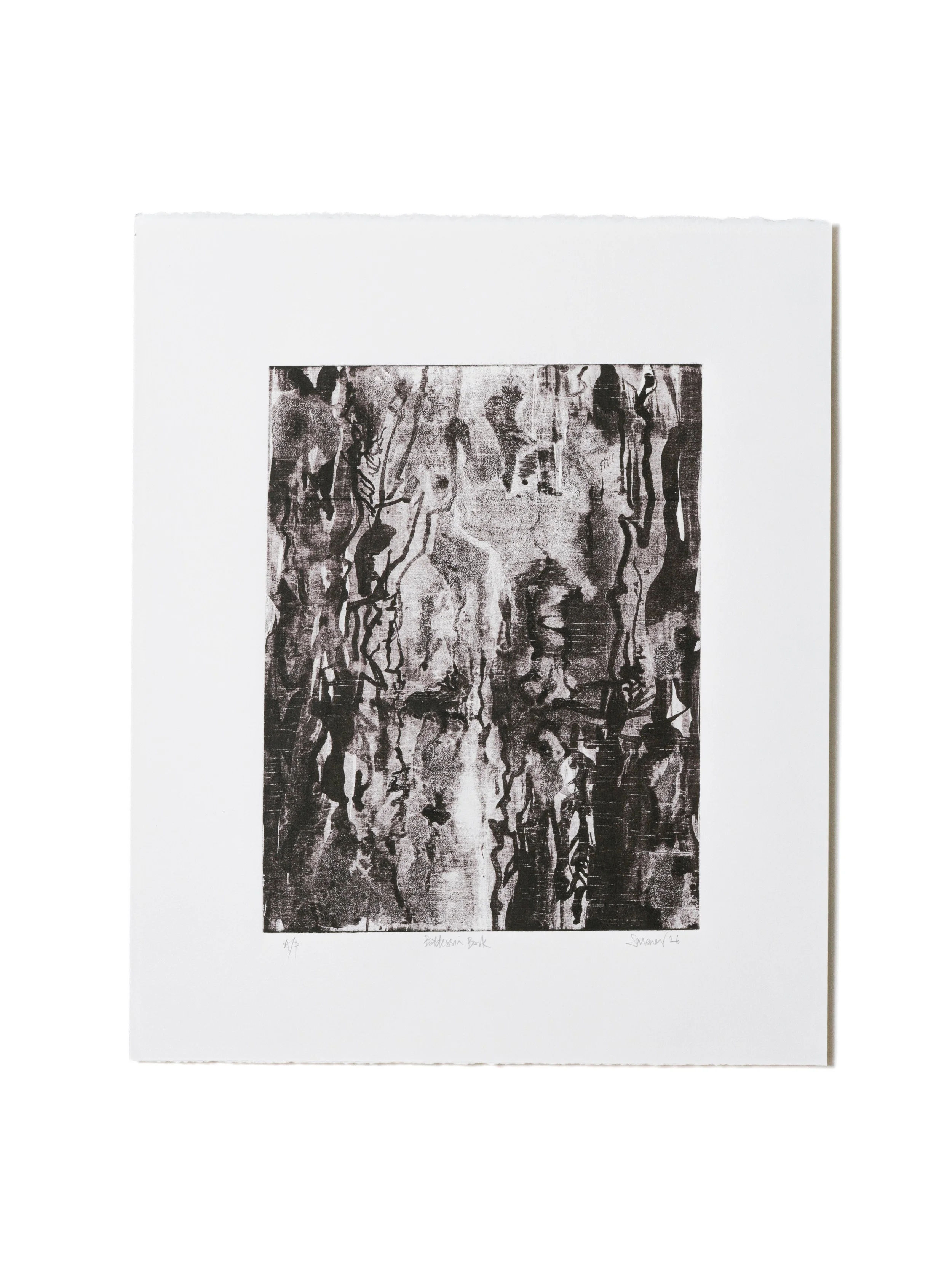 Simone Tippett – Baldessin Bark