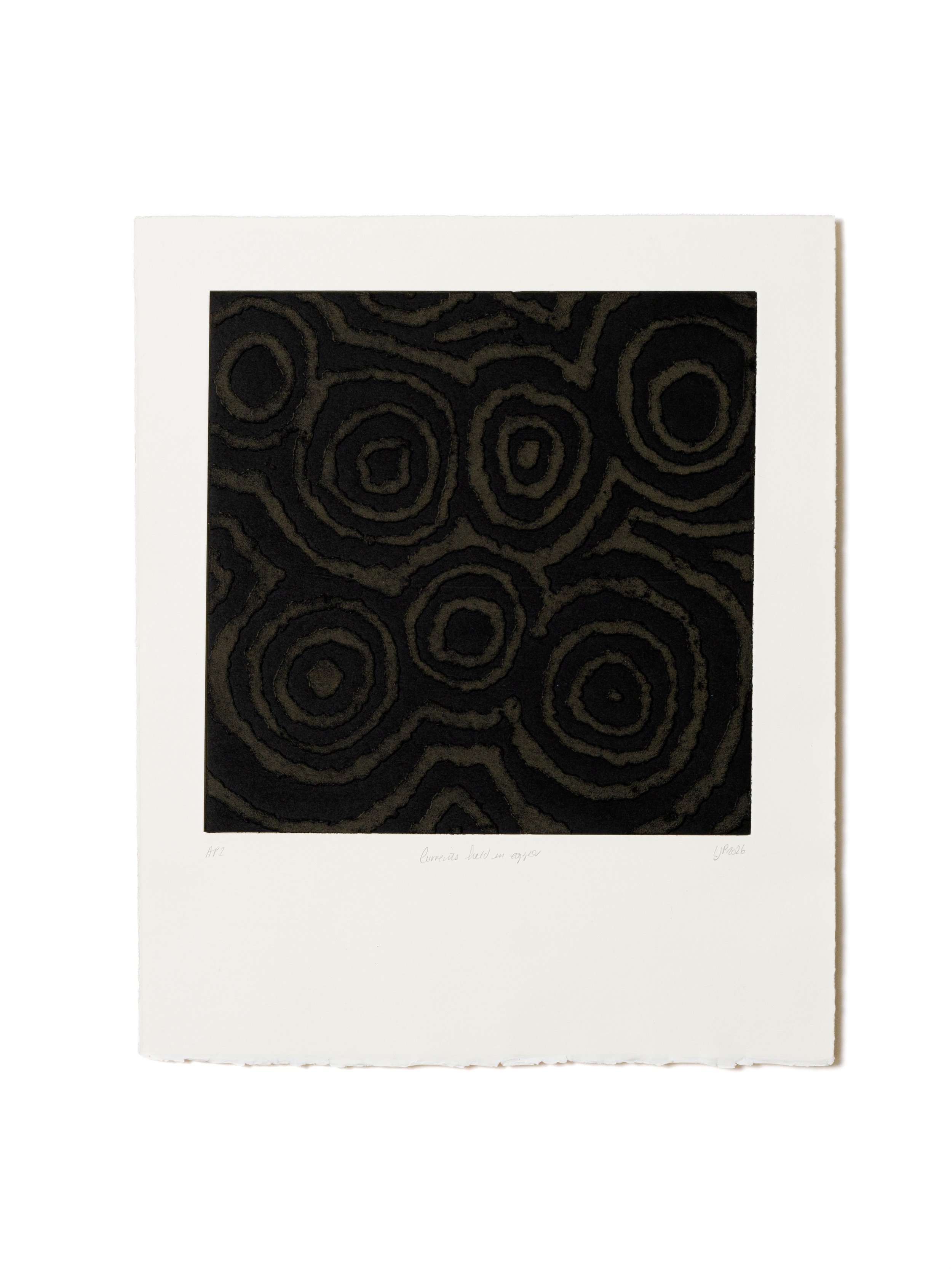 Lisa Jackson Pulver – Currents Held in Copper