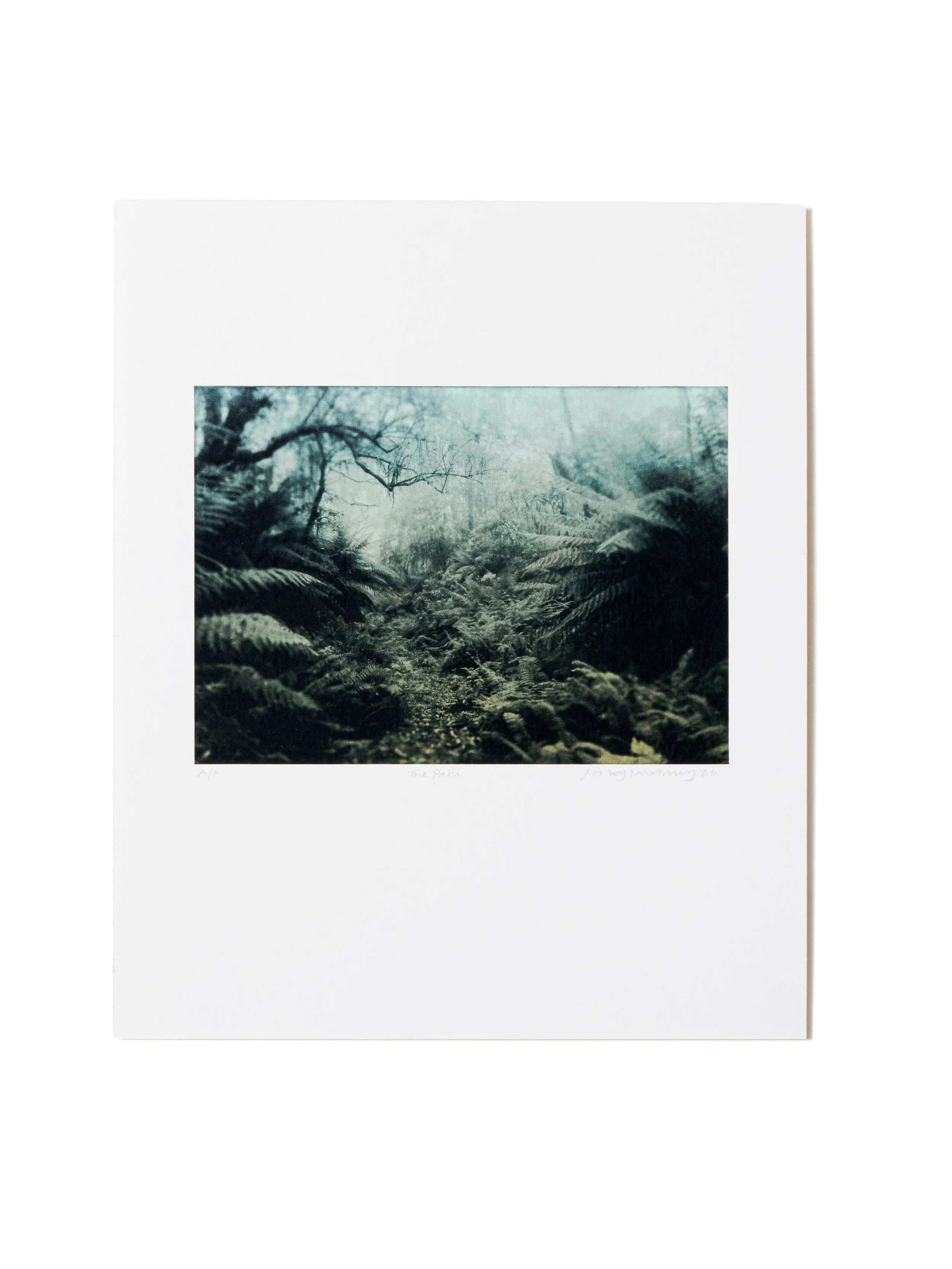 Lesley Duxbury – The Path