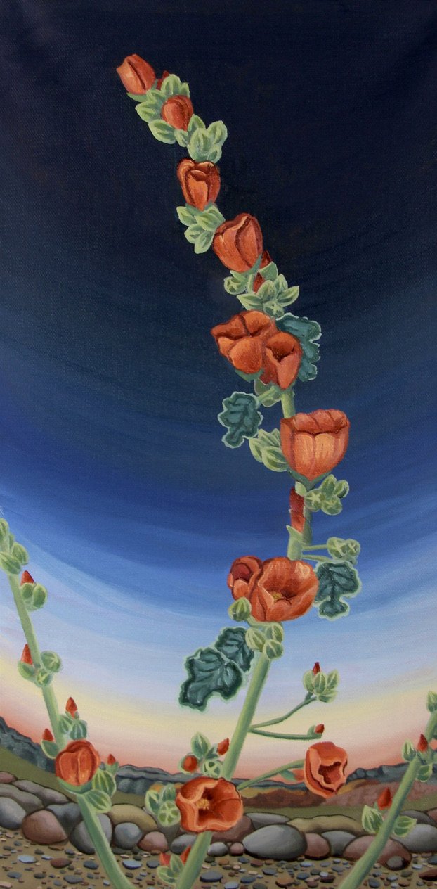 Desert Globe Mallow