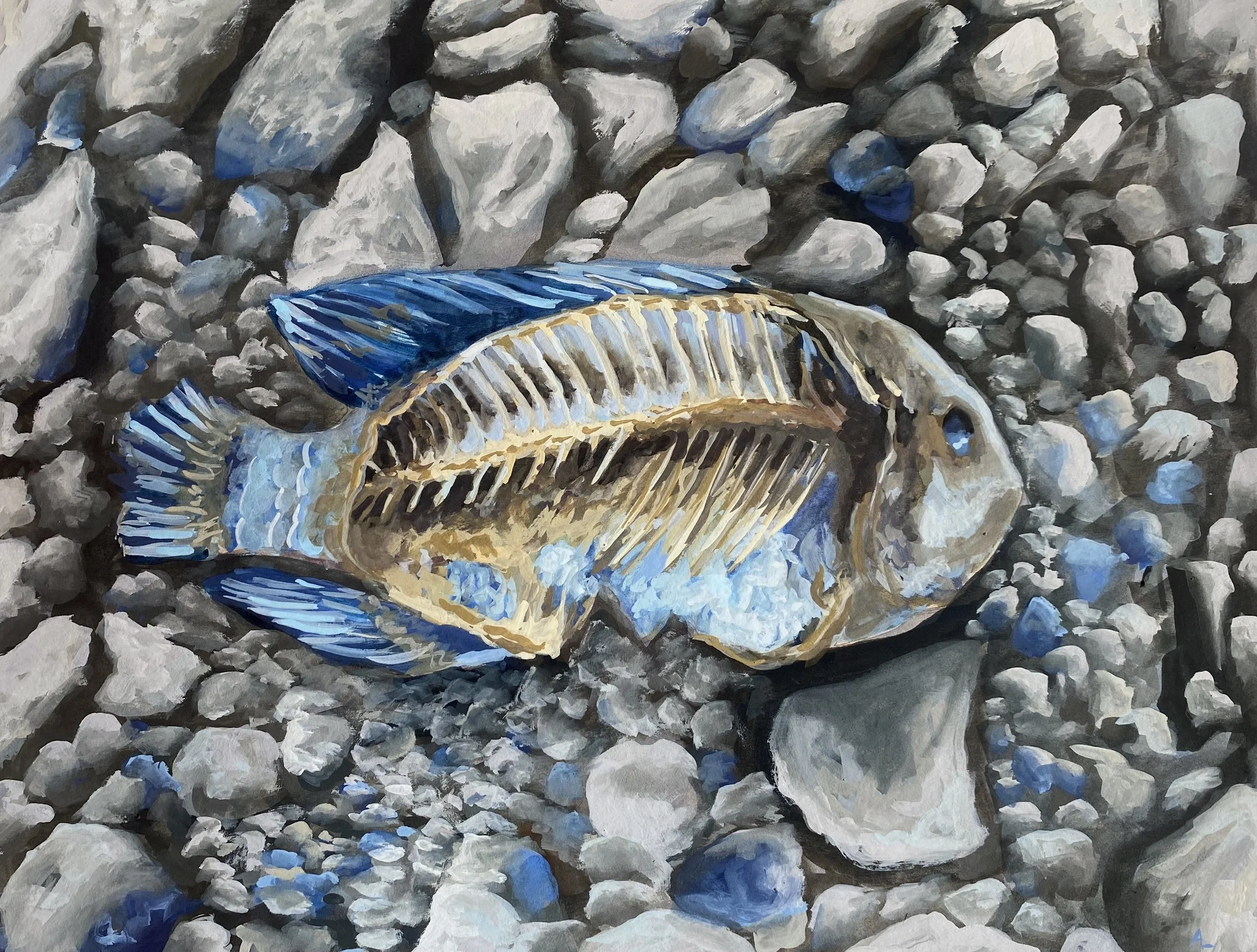 Fish Study 