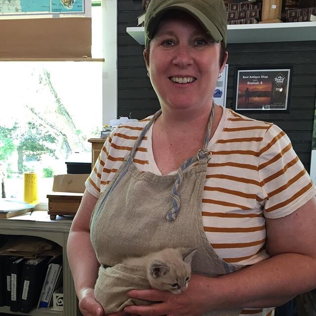 I had the sweetest visitor today! #shopthestation #kittens #vintageshop #vintagestyle #antiques #fleamarketstyle #catsofinstagram #columbiafallsmontana #newcoworker