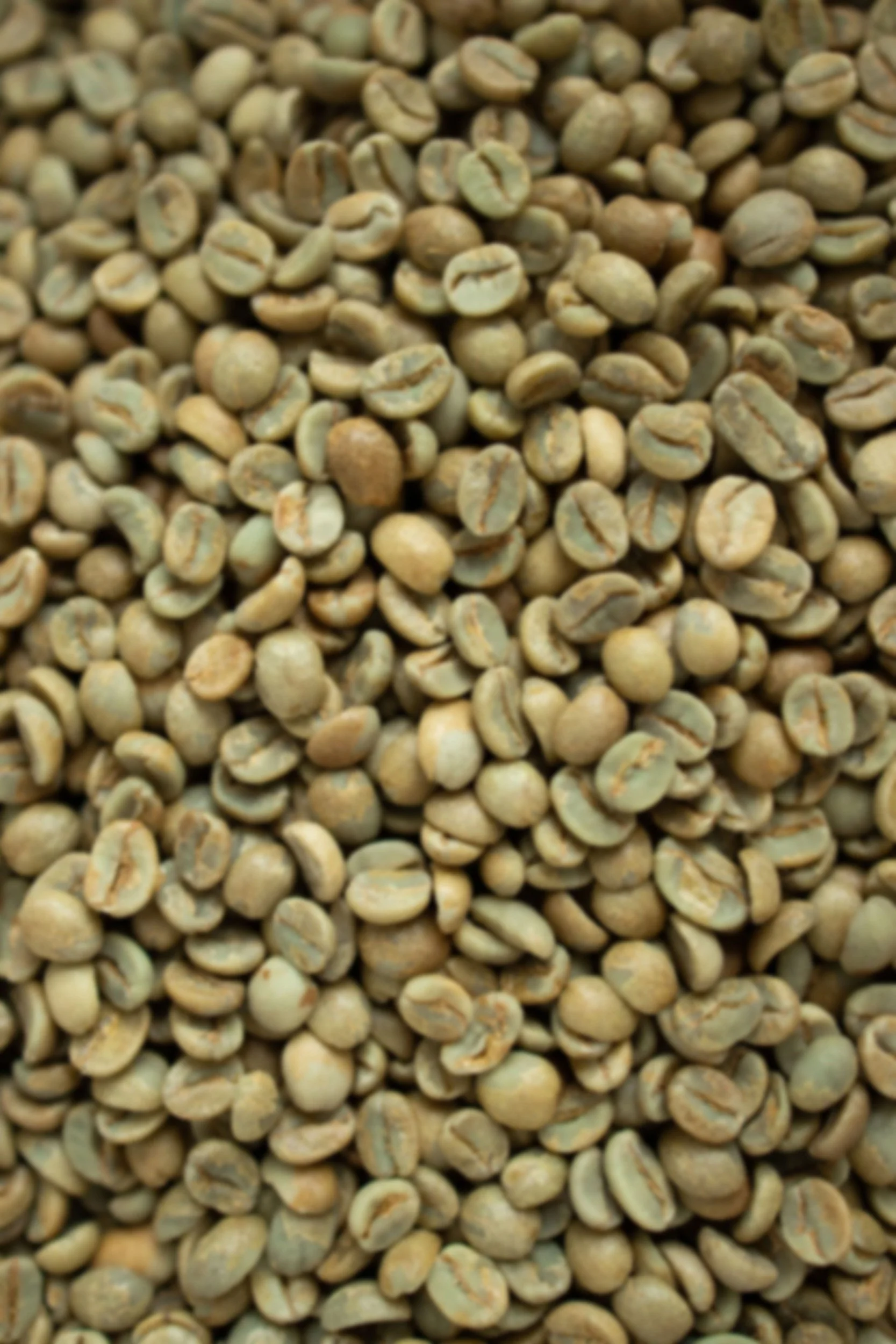coffee-beans.jpg