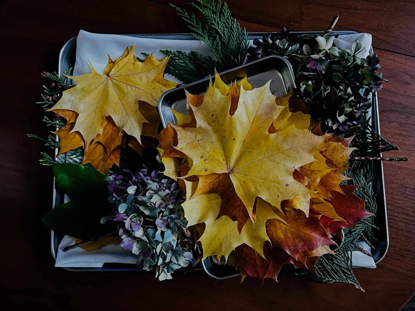 Yesterday&rsquo;s FOH foraged finds. It felt like the fall saying goodbye for now, searing into our memories its beauty. 

Thank you @didyoustretchyet for the care and patience to find some of last colors of fall. 

And do not worry, these are meant 