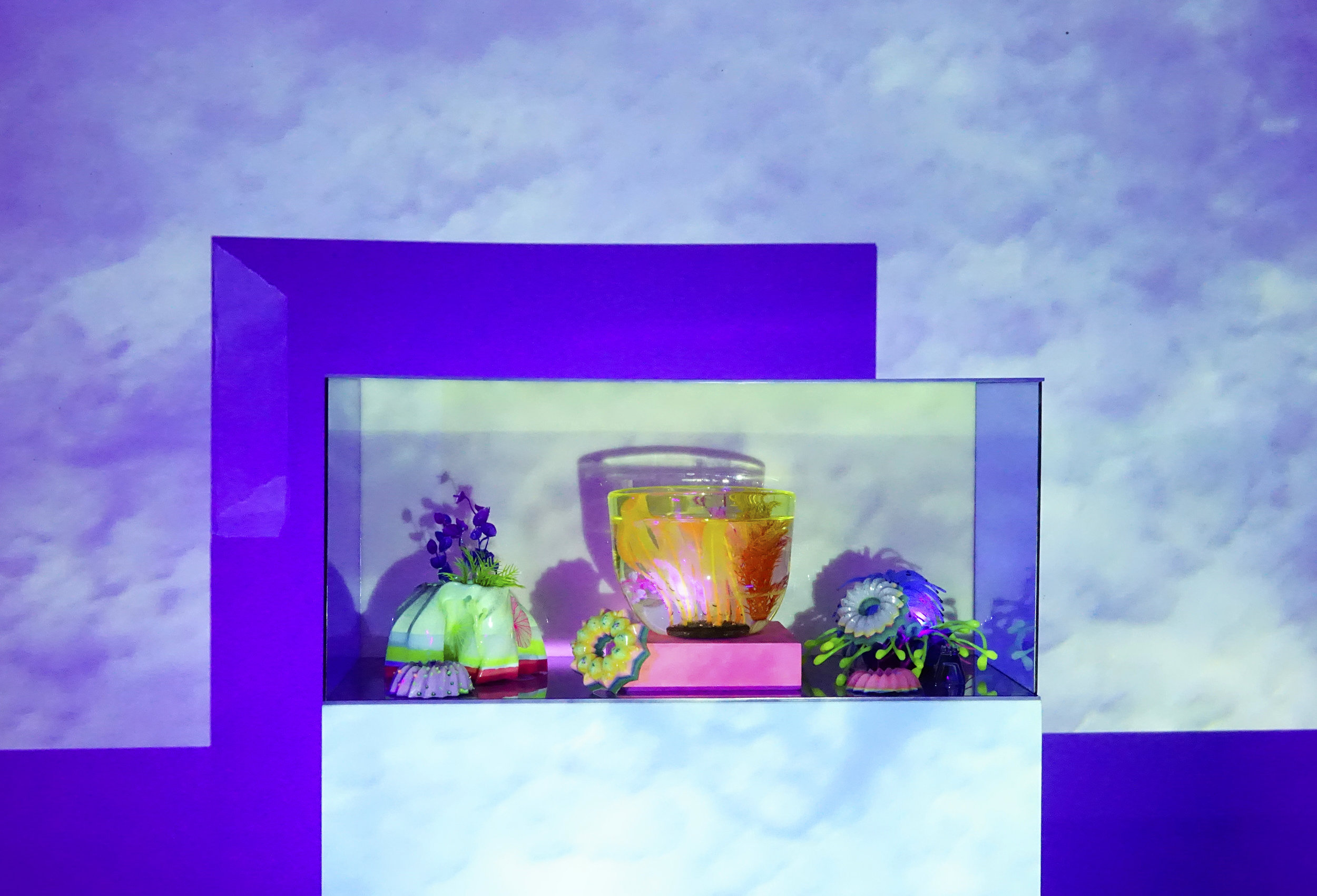 Lena+Daly+-+‘Night+Dive,’+2019+-+Video+and+Ultrasound+projection,+UV‐reactive+paint,+wood+pedestals,+uranium+glass,+UV‐reactive+flock,+HD+projector,+HSS+speaker,+plexiglass,+and+LED+UV+light,+dimensions+variable+-+2.jpg