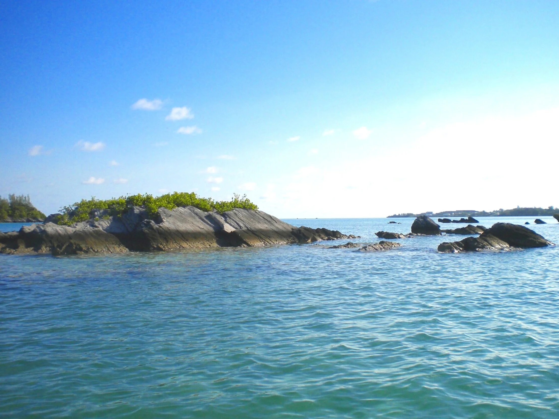 DSCN3563.jpg