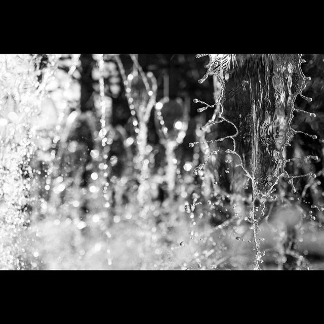 ISO100 50mm f/2.5 1/8000 no filter
"Stop the elements series 08/2015" 💧💦💧💦