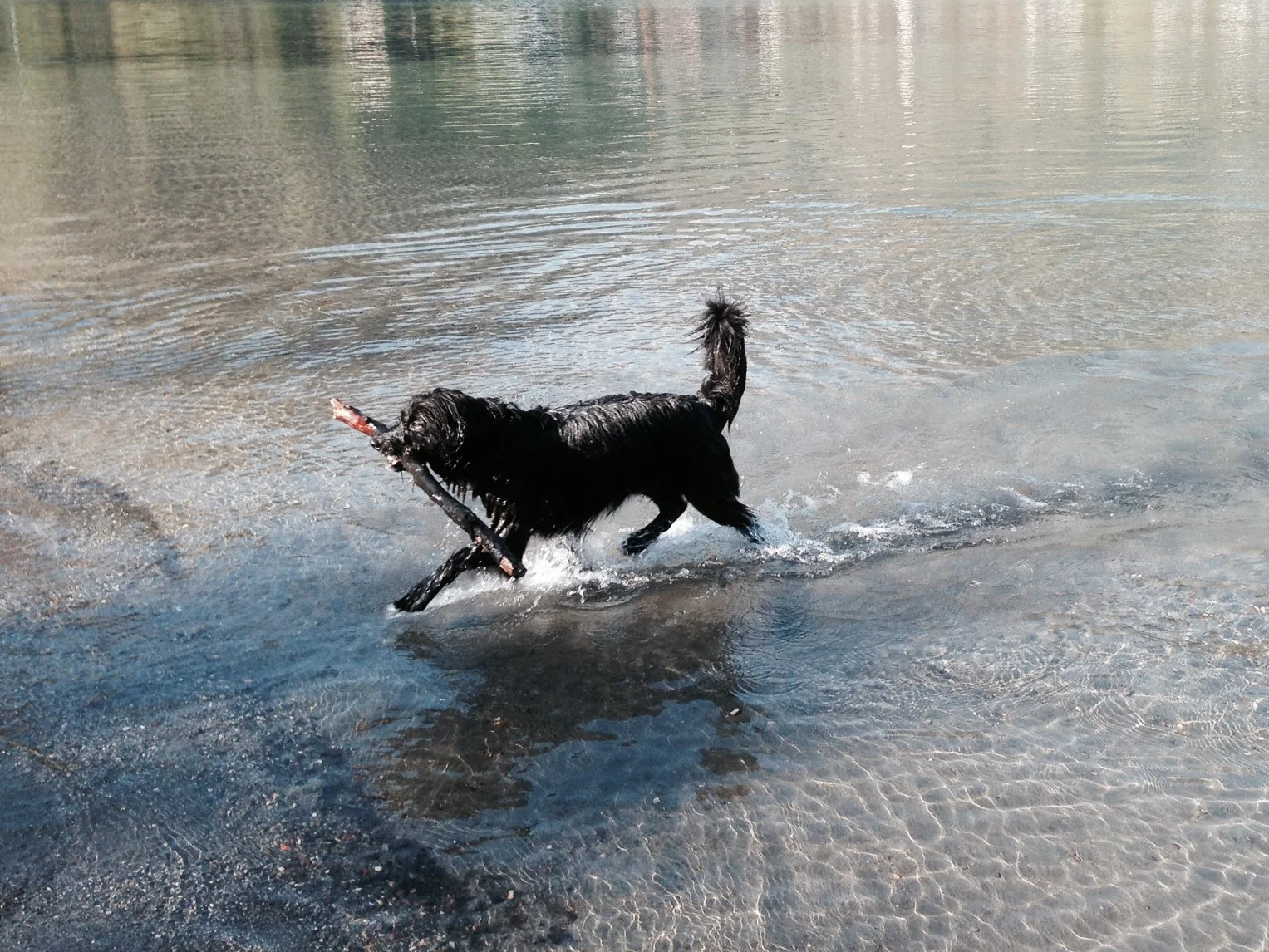 Restriktiv oder besser "Laisser-Faire"