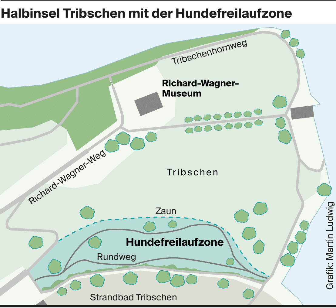 Bevölkerungsumfrage zur Lage am Tribschenhorn