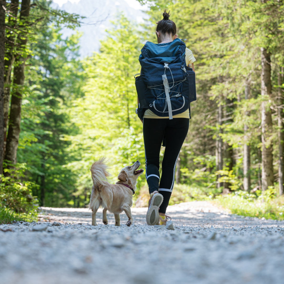 Herbsttreffen mit Wanderung