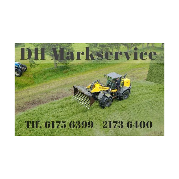 DH Markservice