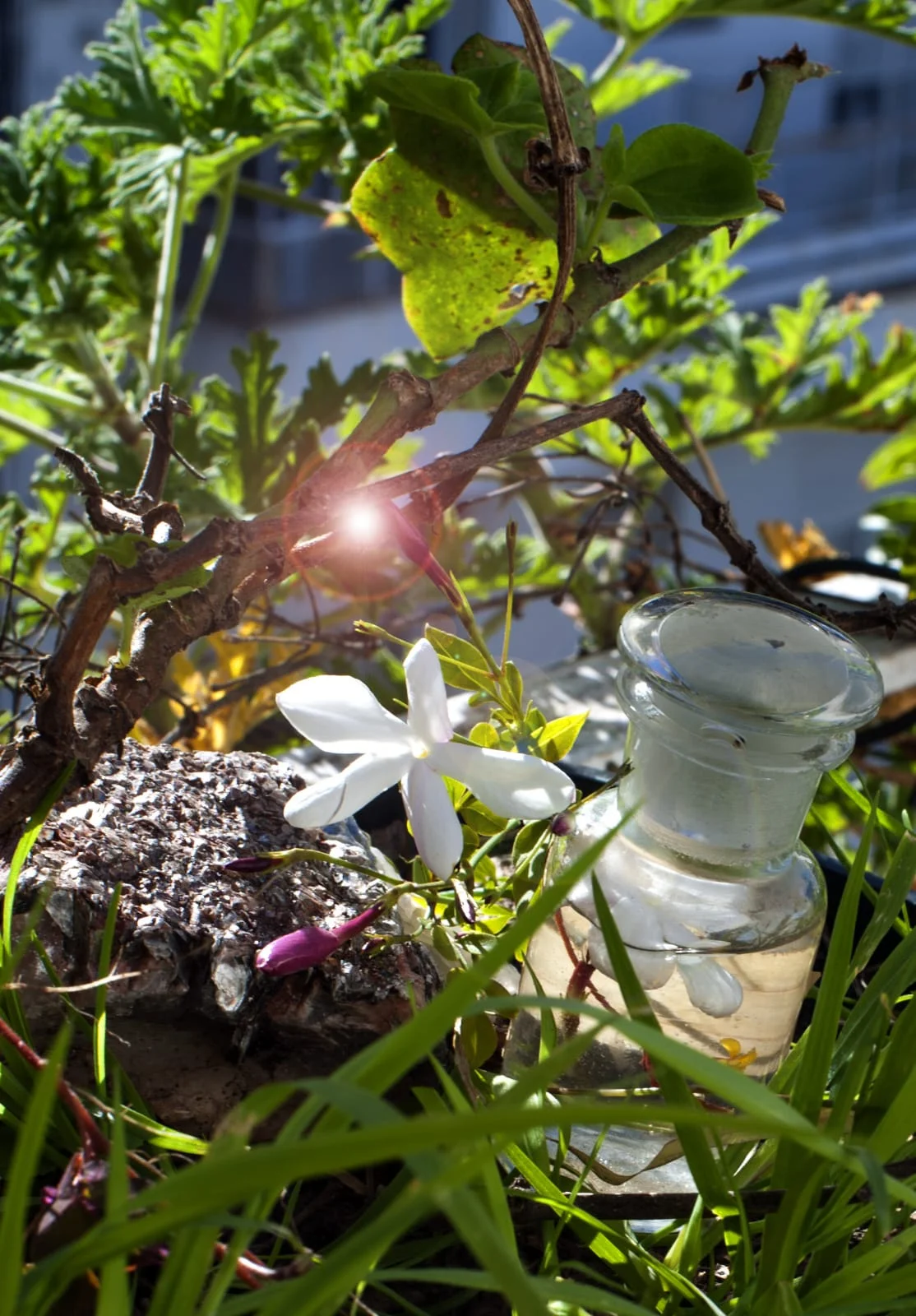 WhatsApp Image 2018-06-11 at 12.26.37.jpeg