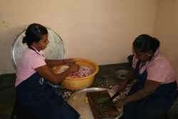 Making carrot salad