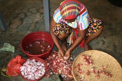 Cutting red onions