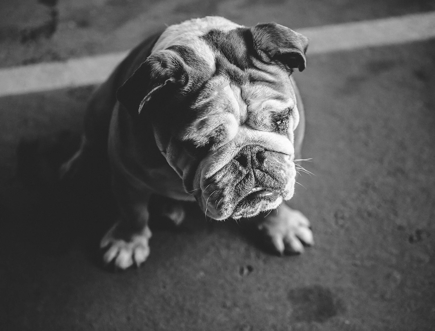 winston&bentley1.jpg