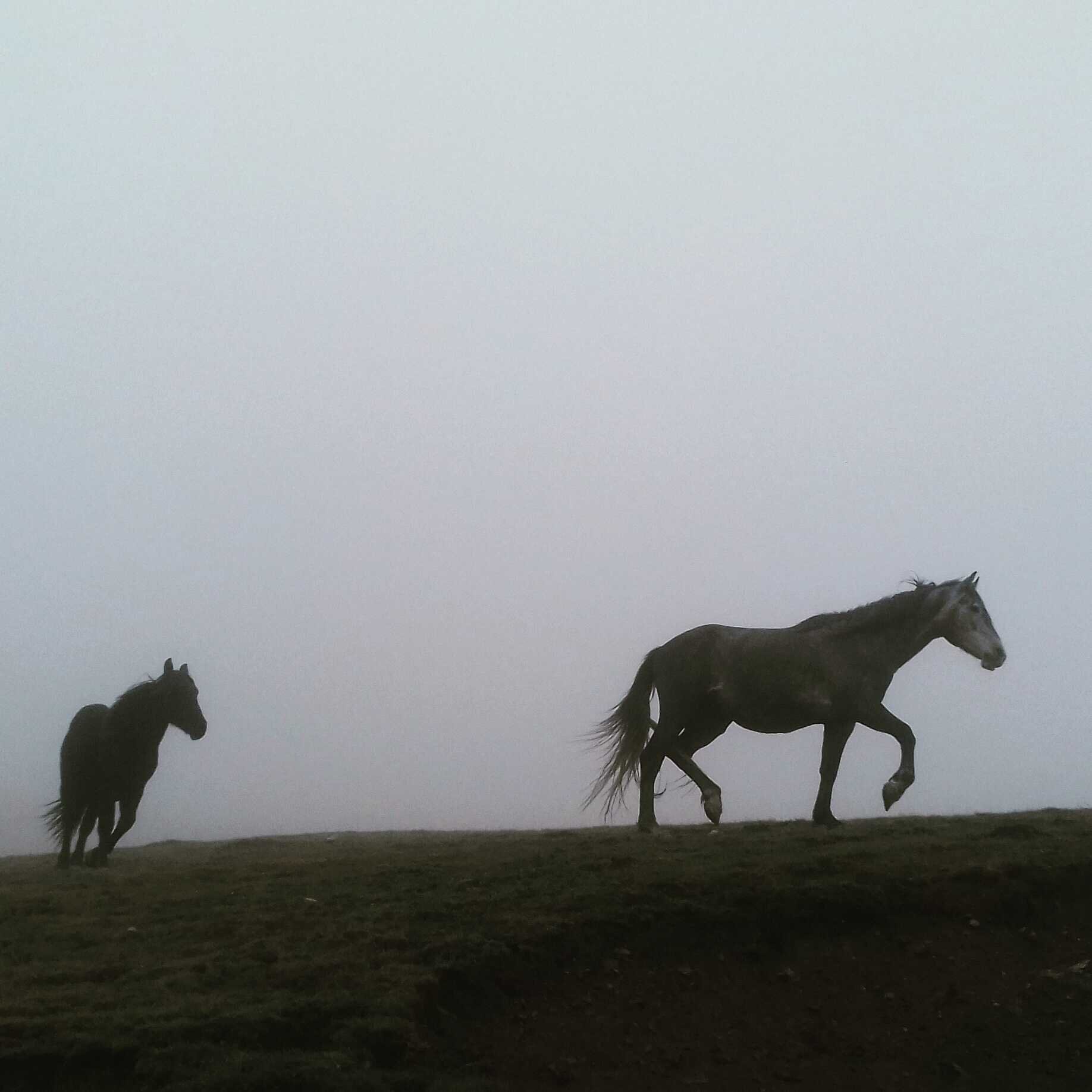 paisaje-parque-natural-armañon-carranza-trucios-familia-casa-turismo-rural-familia-caballos.jpg