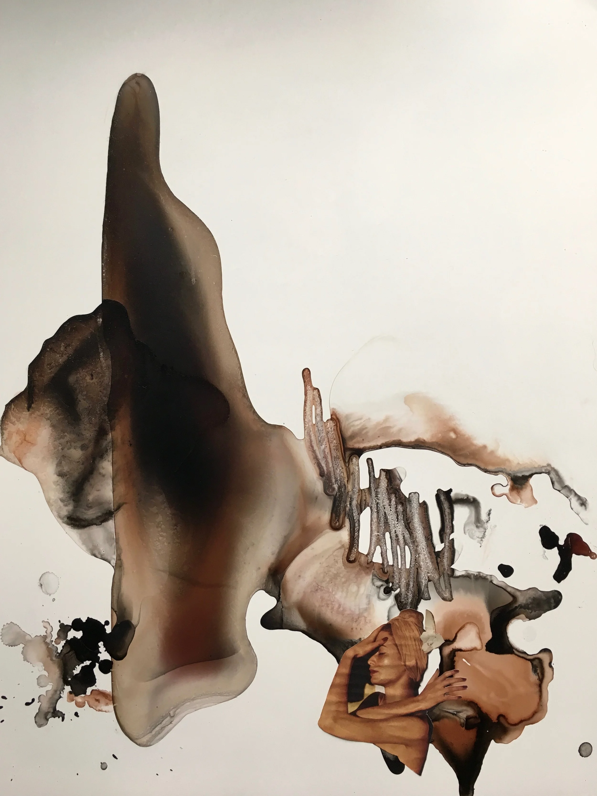 VENI VIII