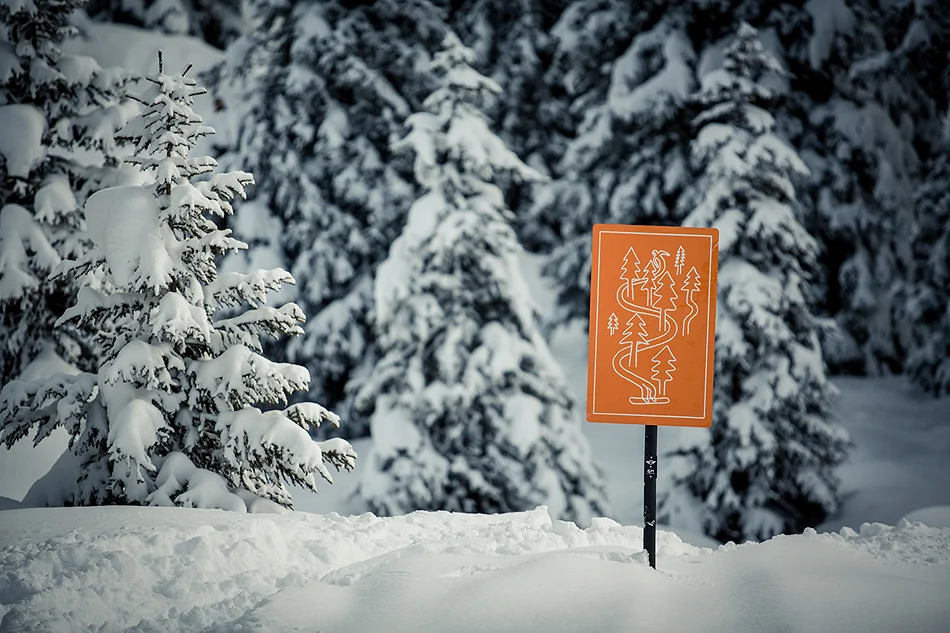 MINI X BEO 15_In the Mountains-9697.jpg