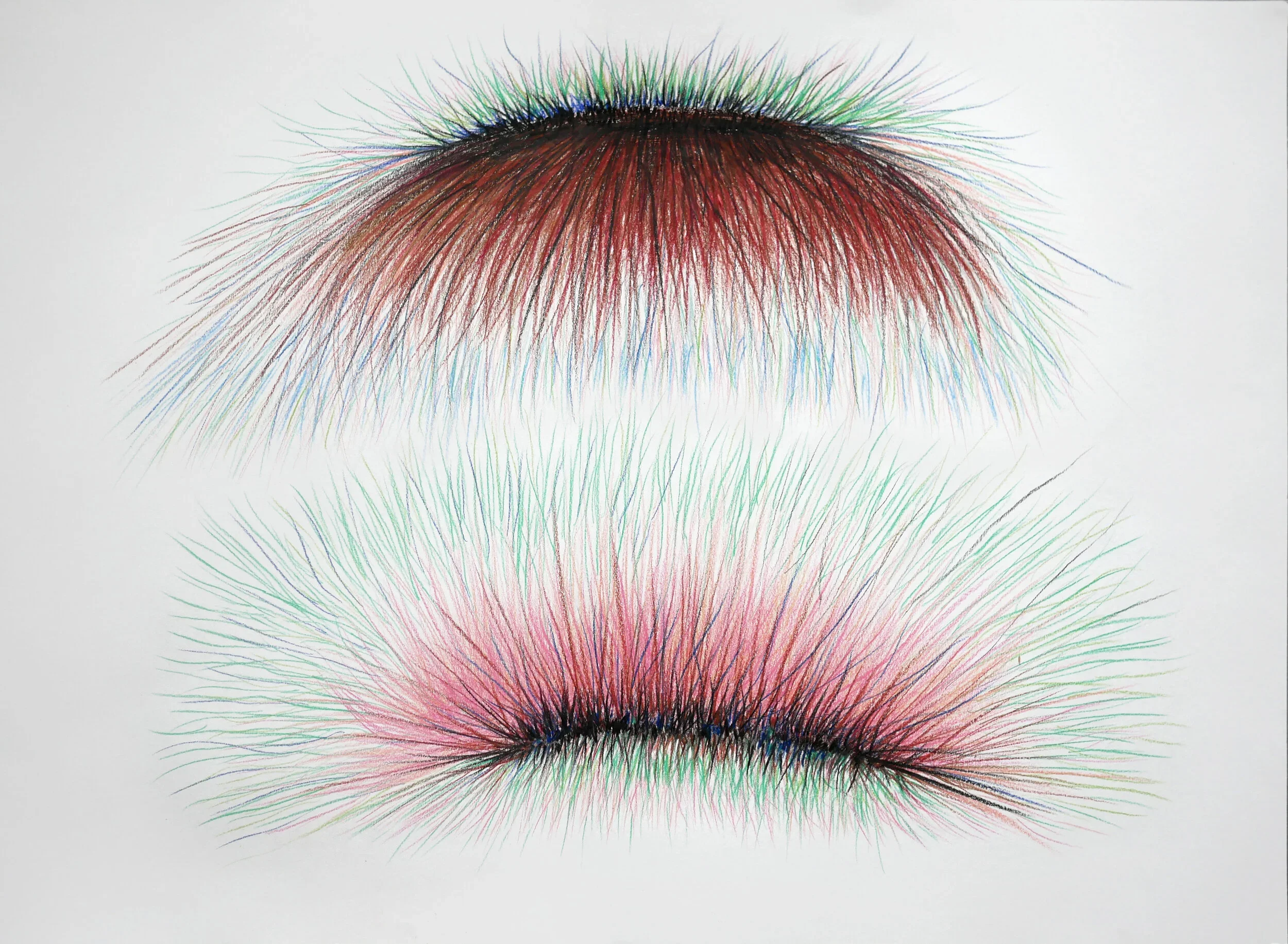 two magnetic poles.webp