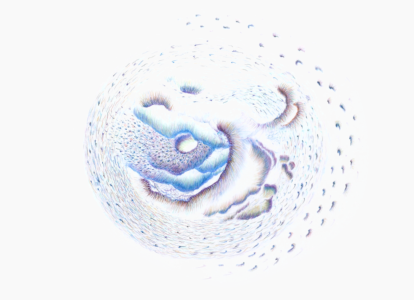 1 circle.png