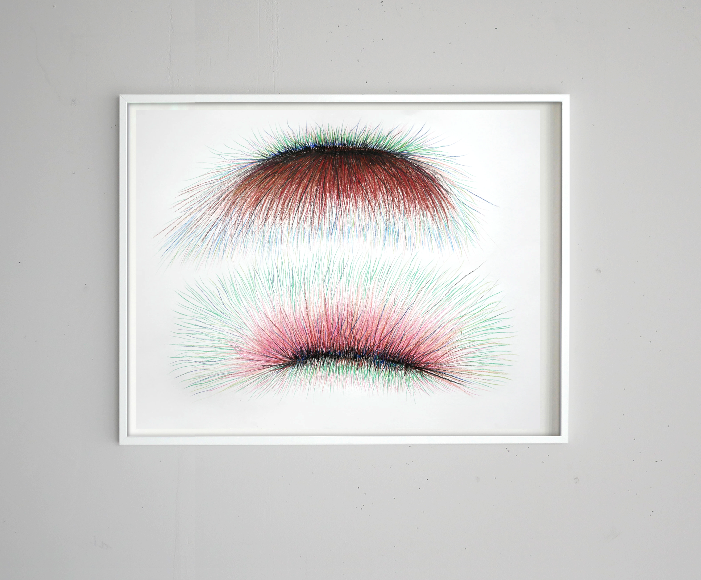 two magnetic poles frame.png