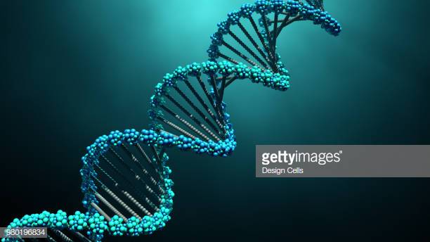3d illustration DNA molecules