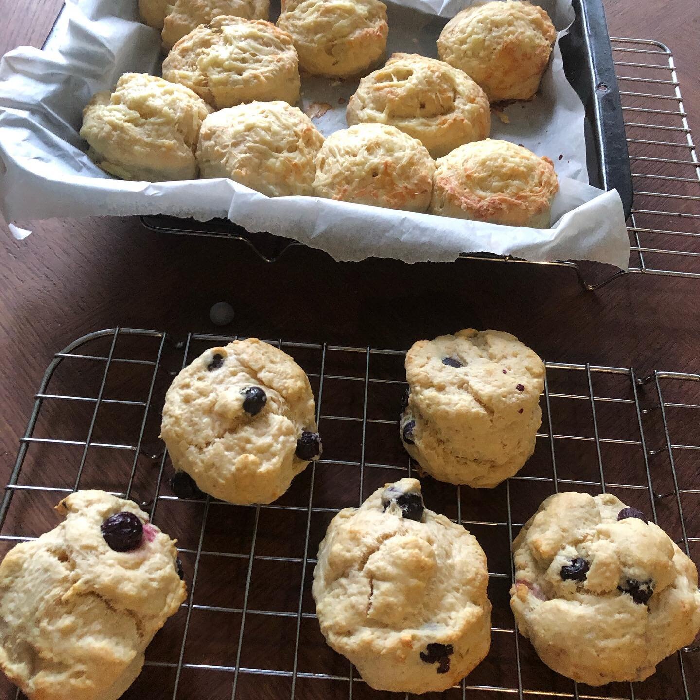 Cheese scones and blueberry scones made today a good day #workaway #bakingskills #nicetobenaughty
