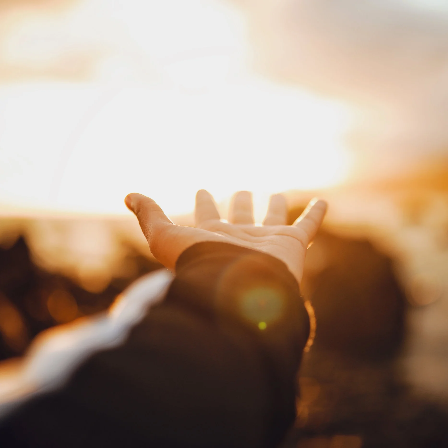 About — The Compass Rose Health and Wellness Centre