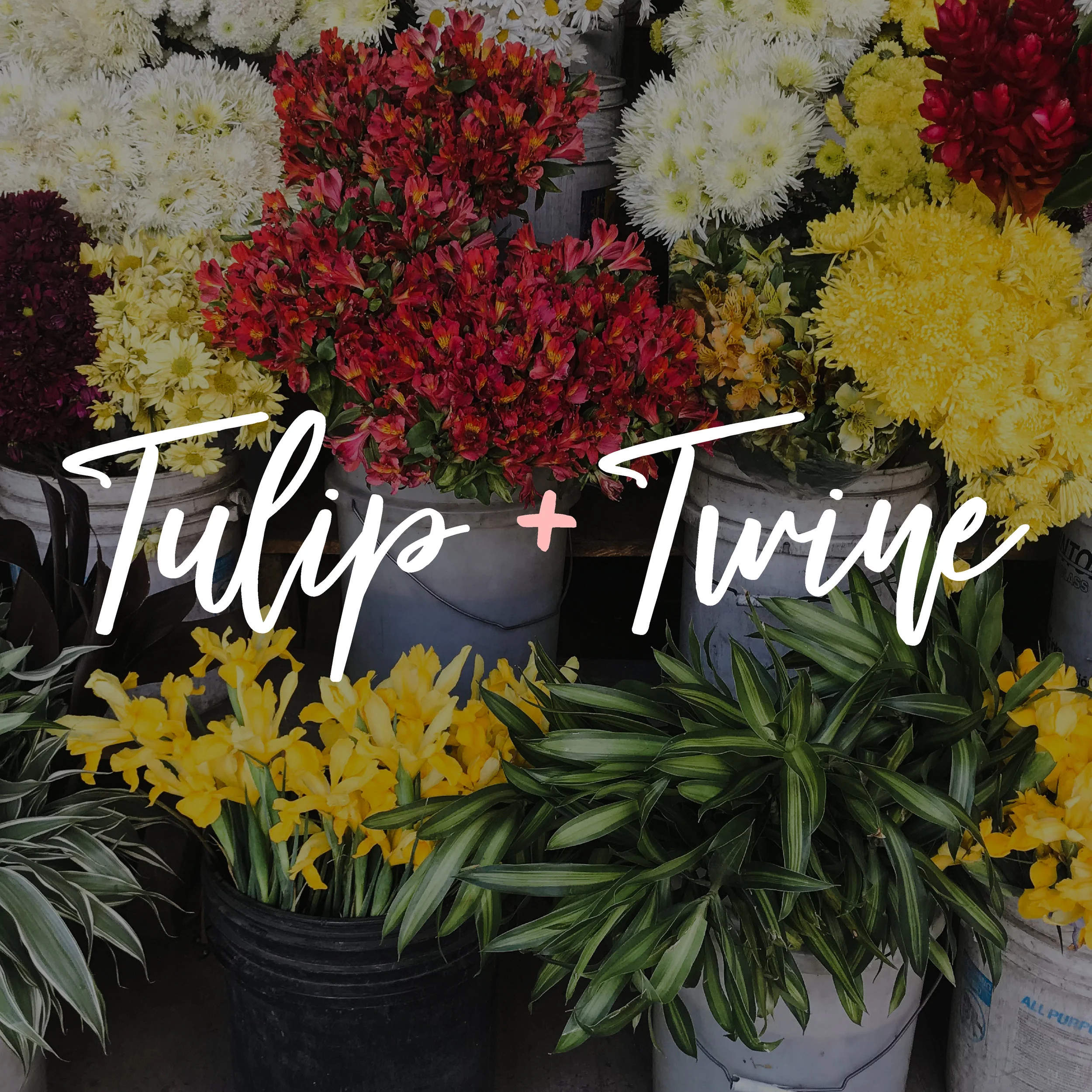 Tulip + Twine-05.jpg