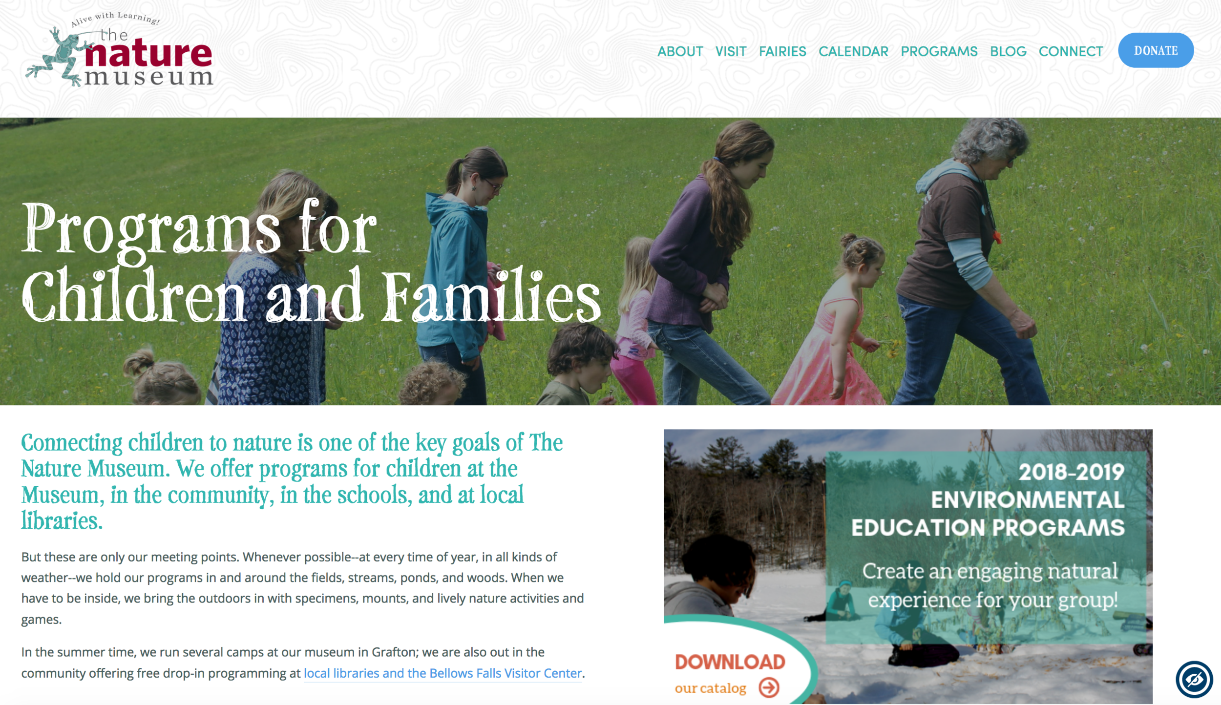 View website