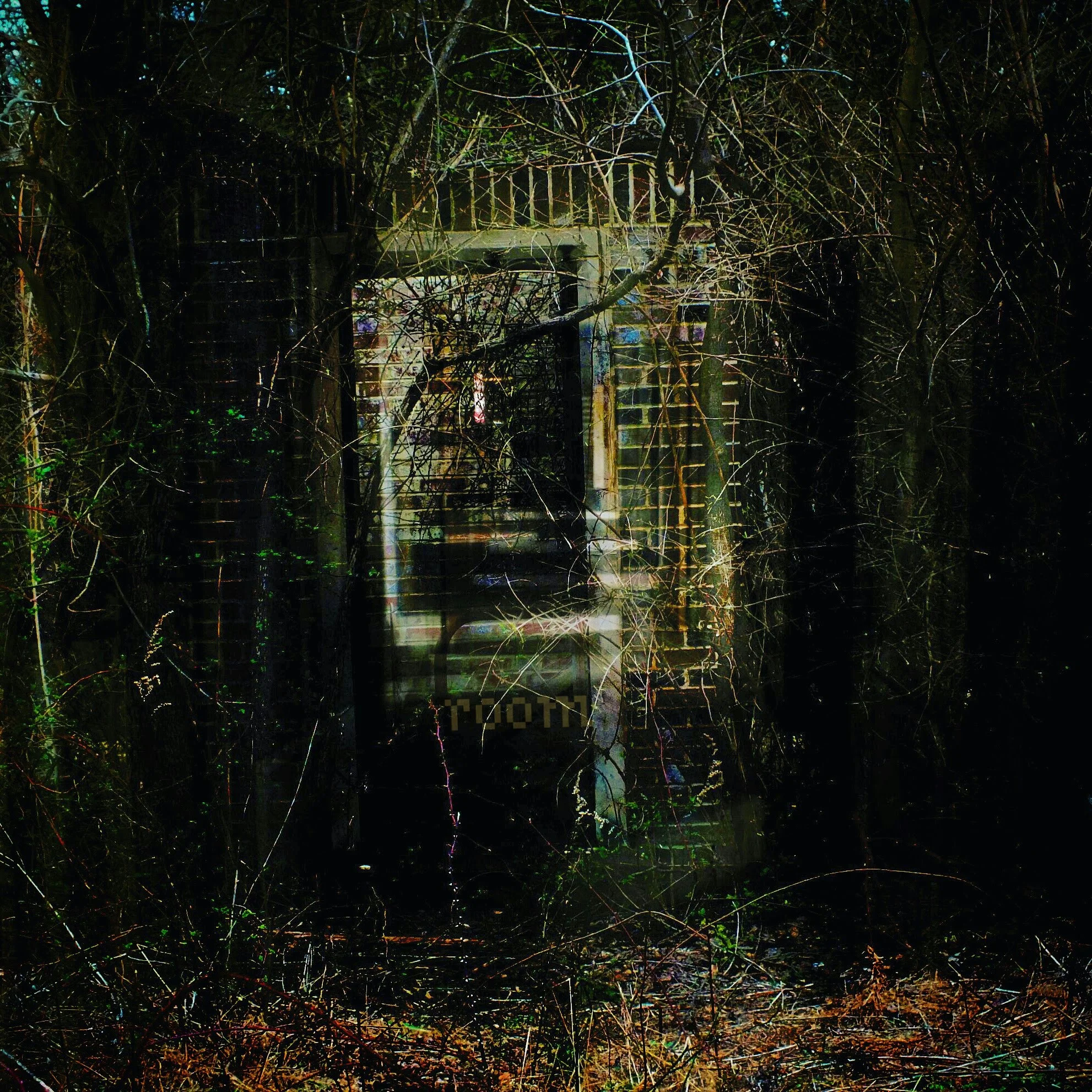(Files attached from Decay Log: “Images” and deemed “Non-Anomalous Images” by Tesseract Agent Codename: SignalSam)