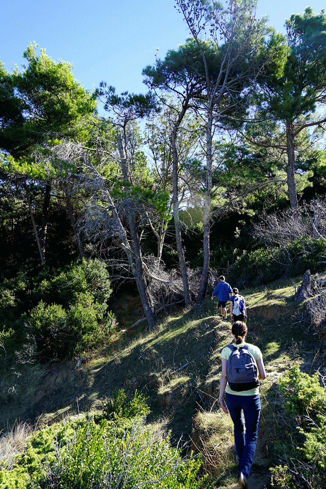 _DSC1718-ANIMATION.gif