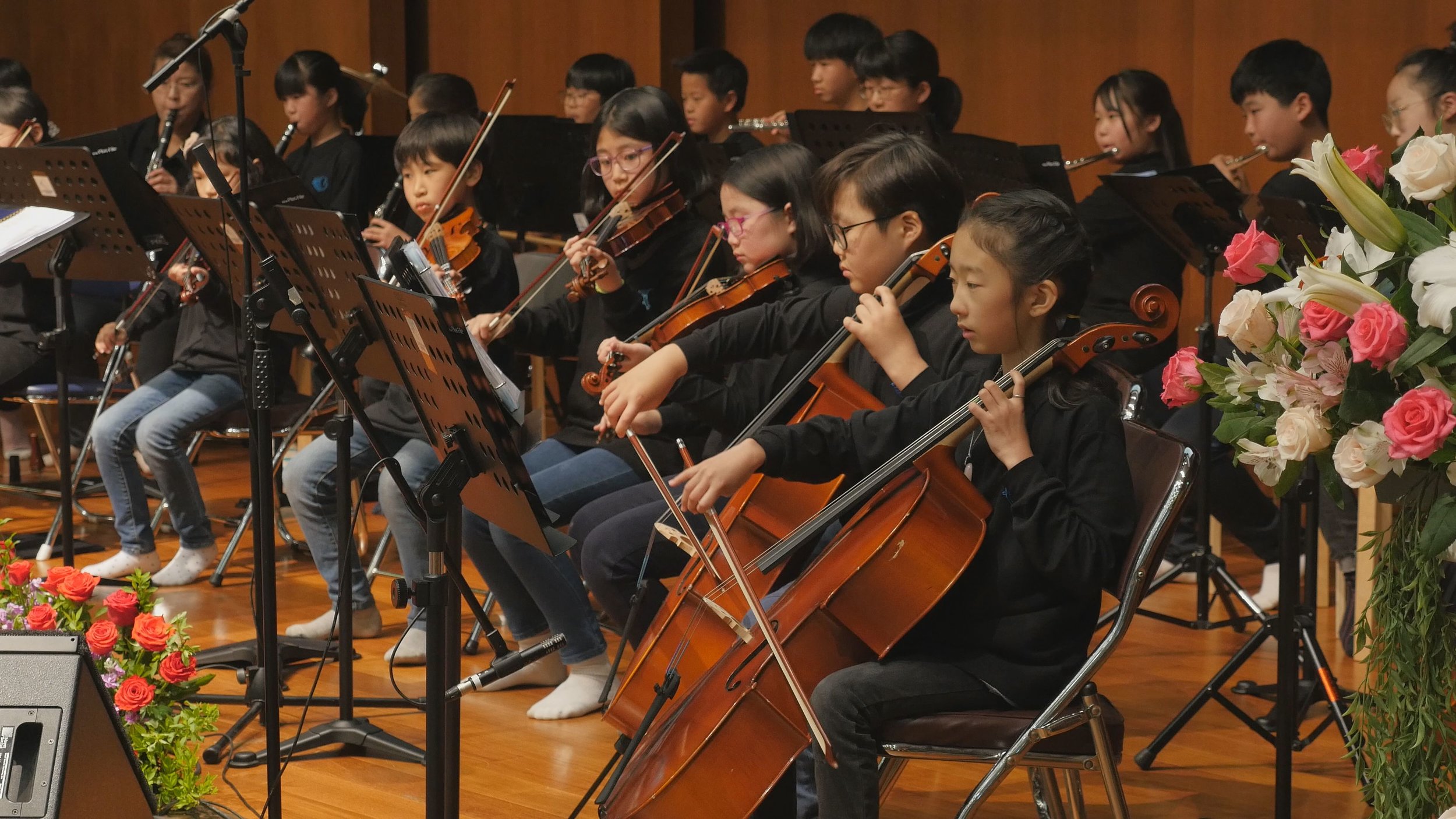 Cello.jpg