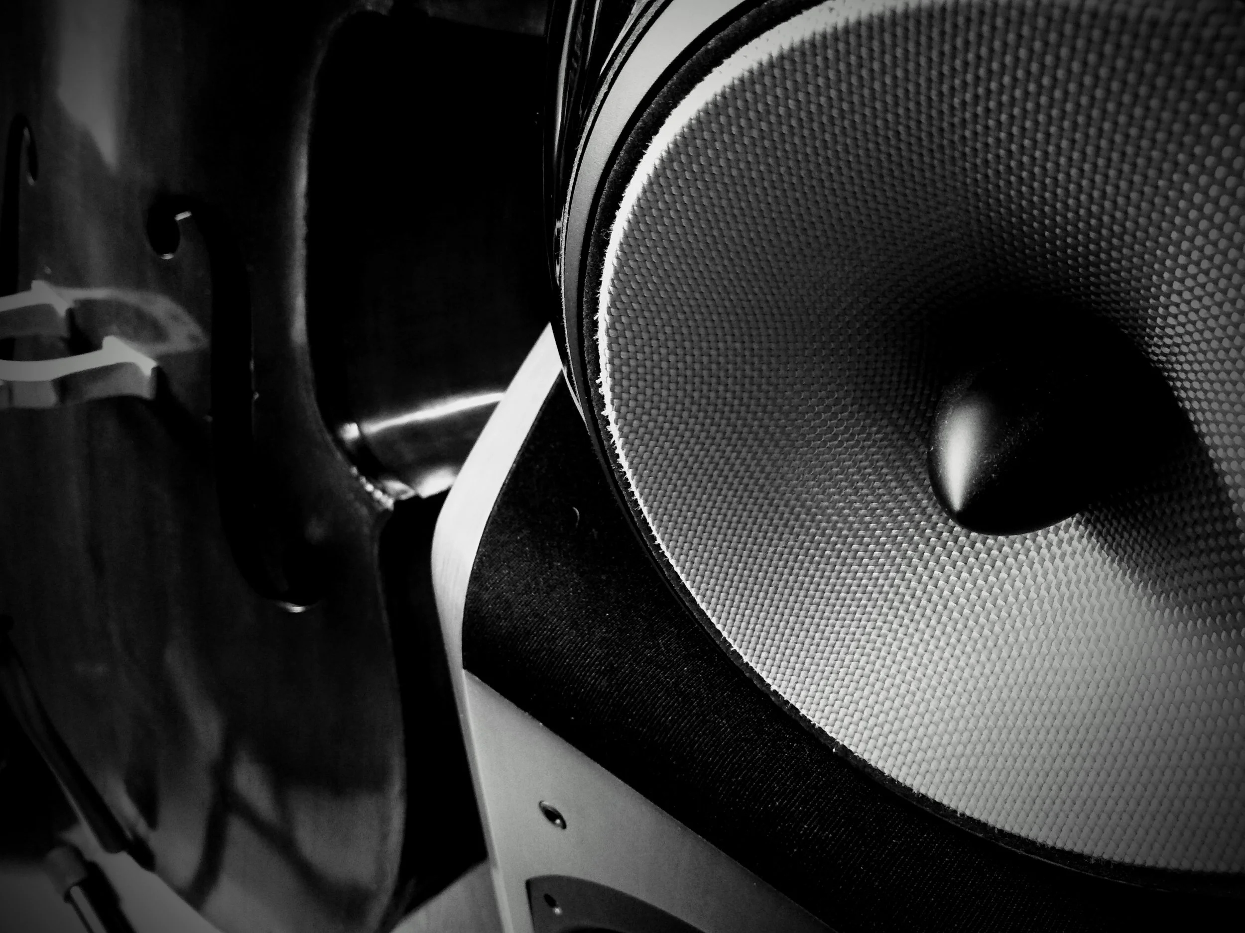 B&W with double bass.jpg