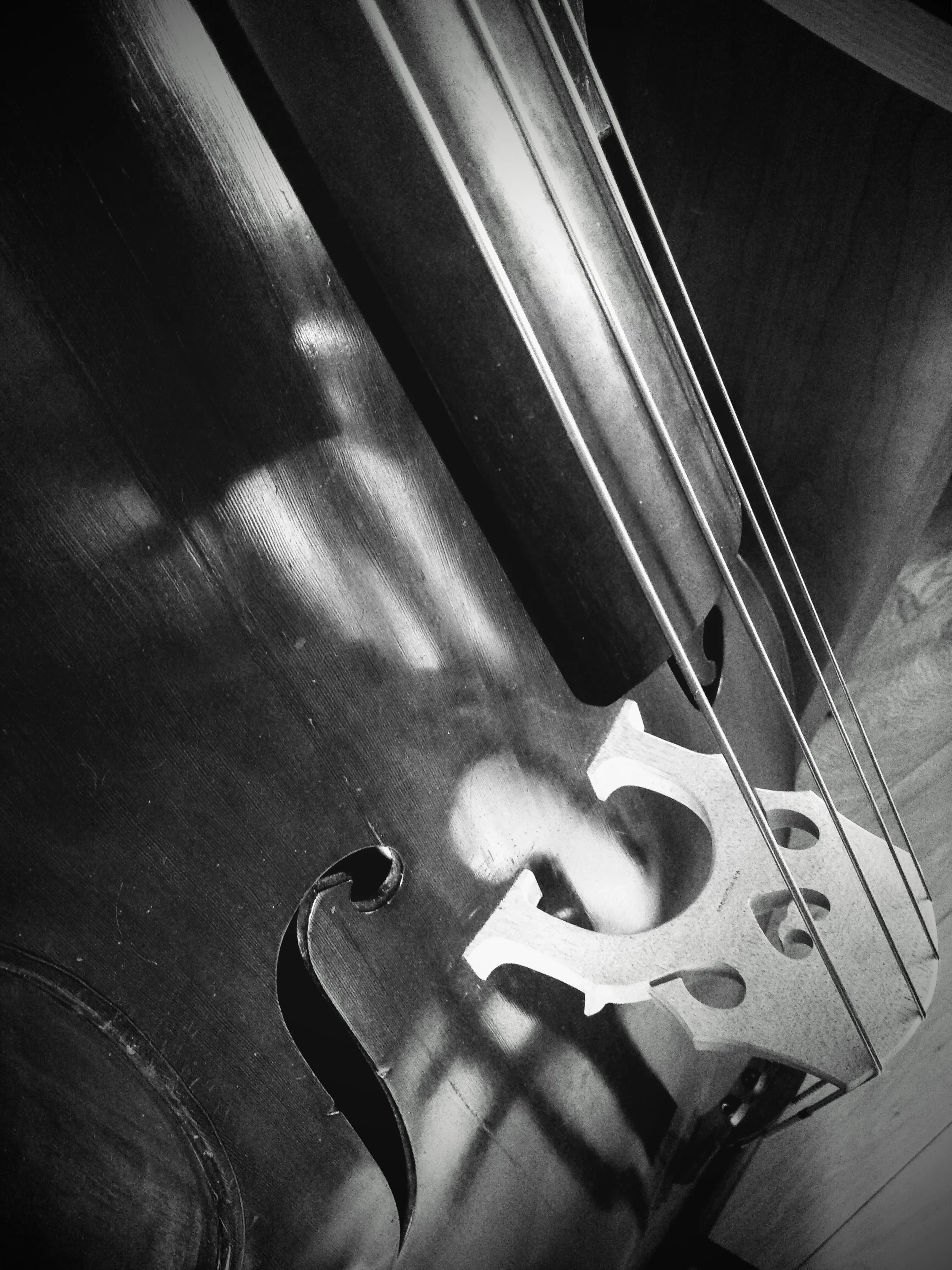Double Bass.jpg