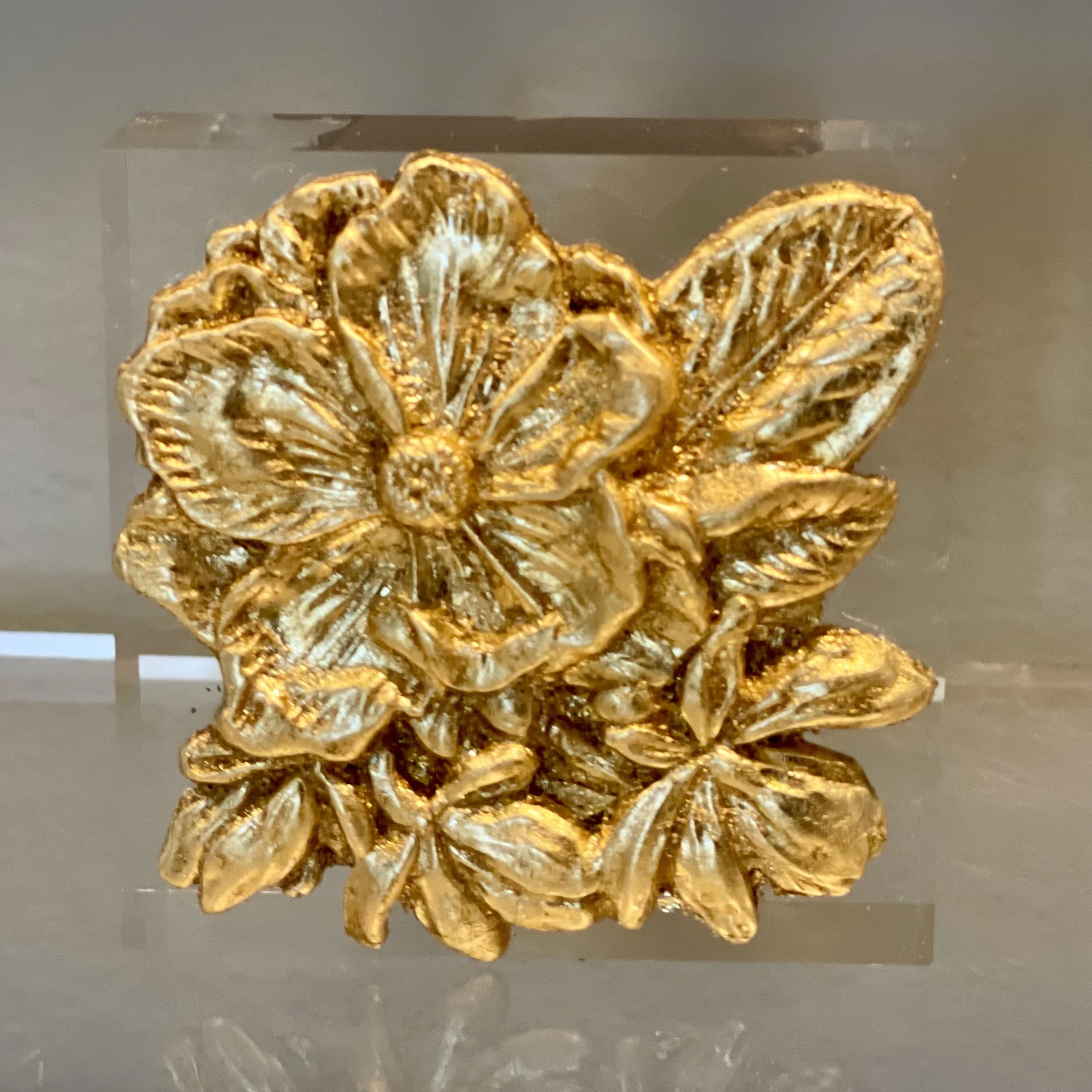 Baby Magnolia in Bloom B