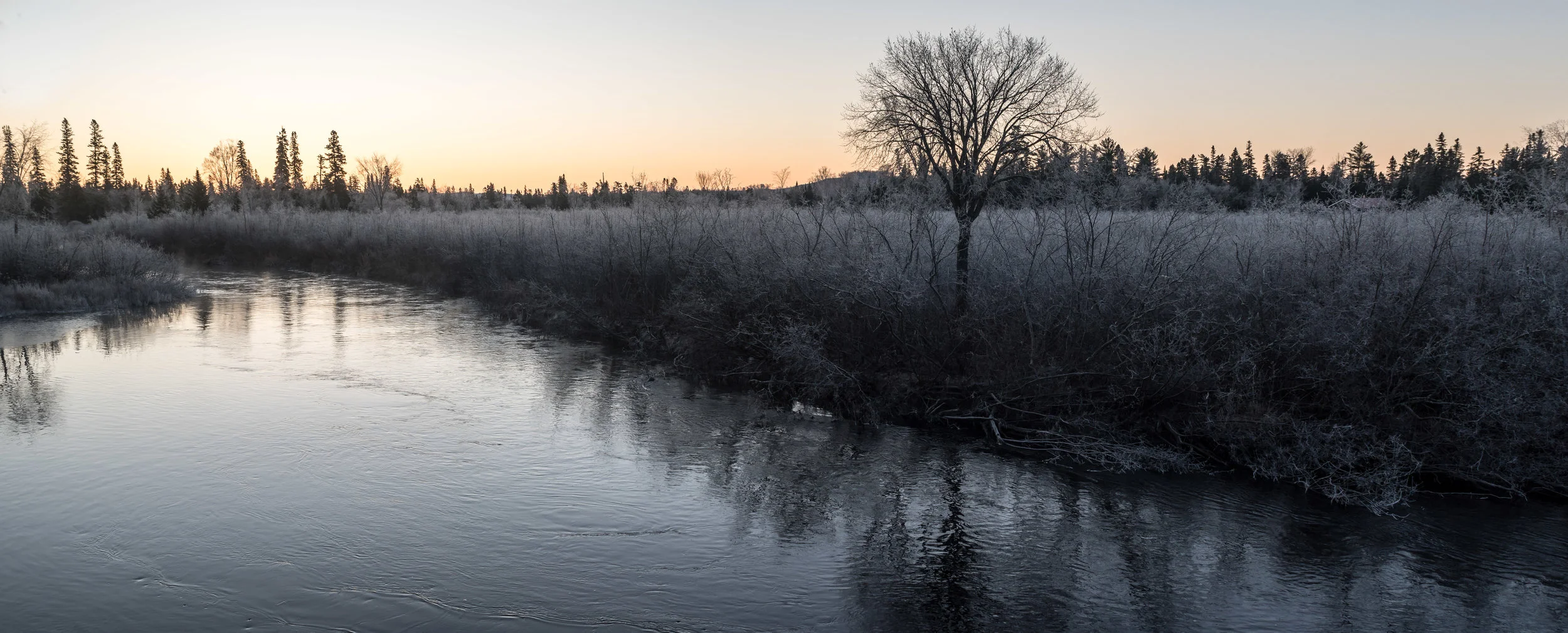 DSC_1528-Pano.jpg