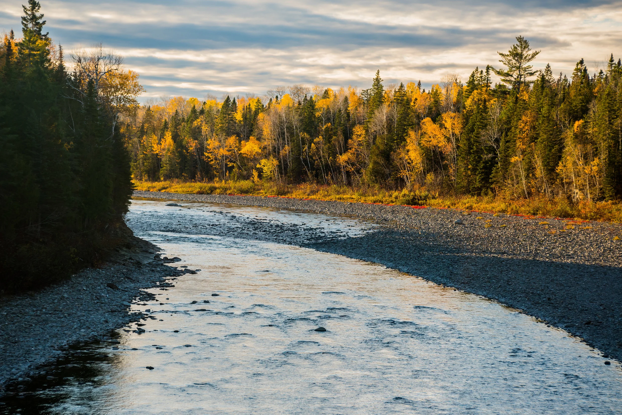 DSC_1119.jpg