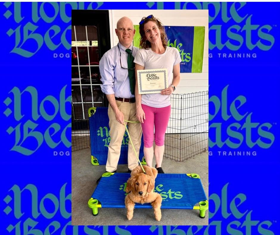 Bonnie graduated! 🎓🐾
Bonnie completed our puppy head start program like a rockstar! ⭐️
She is a super smart puppy and on her way to becoming the absolute best dog she can be! 🐾

#goldenretrieverlovers #goldenretrieversofinstagram #goldenretrievers