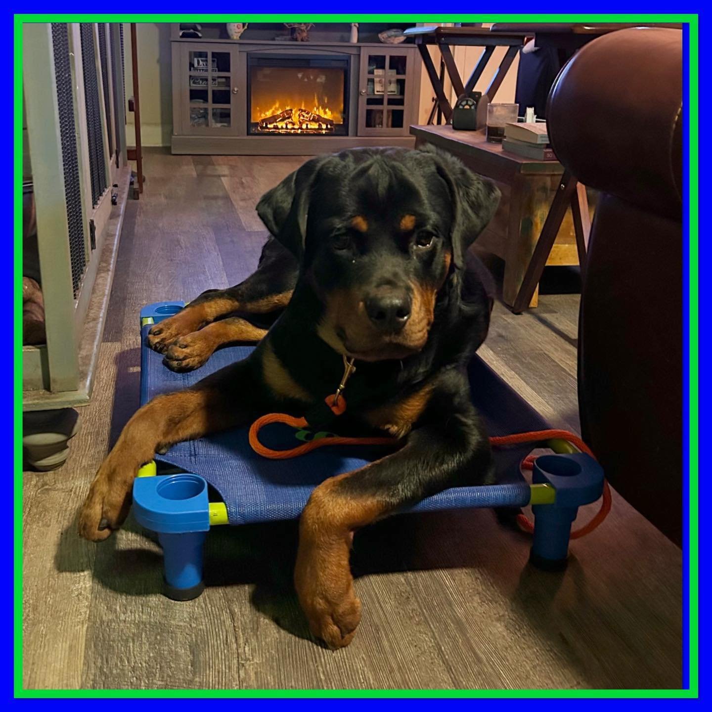 Teaching the &ldquo;place&rdquo; command or &ldquo;Sit on the Dog&rdquo;

How important is it? 

This exercise starts the leadership portion of dog training in a very non confrontational way. 
You are defining the space and activity that the dog will