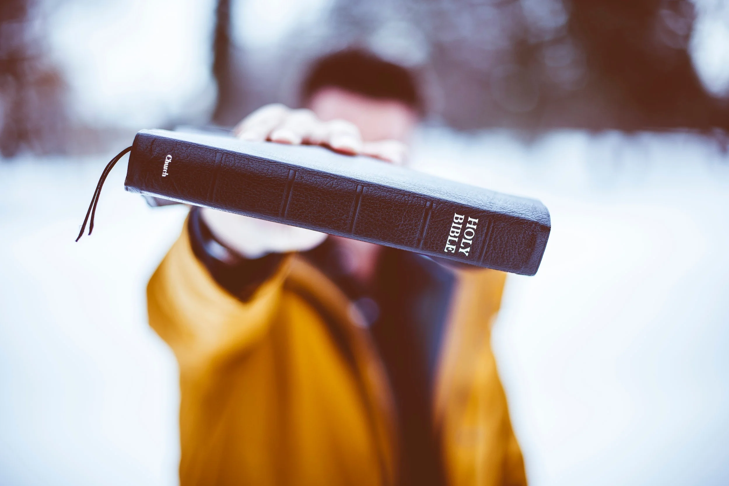 How to Choose a Bible