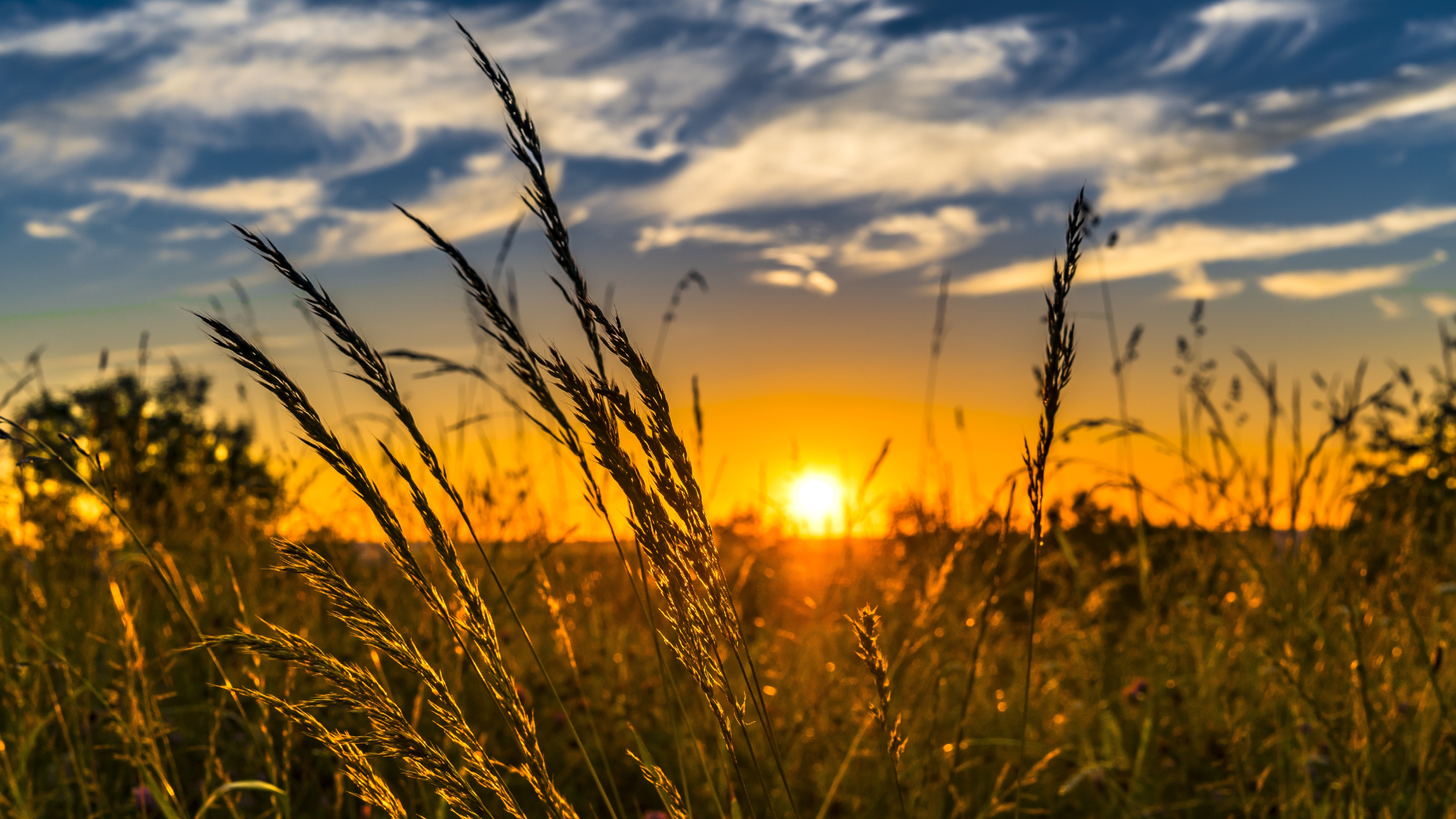 It Was Never About the Rules: The Heart of the Sabbath