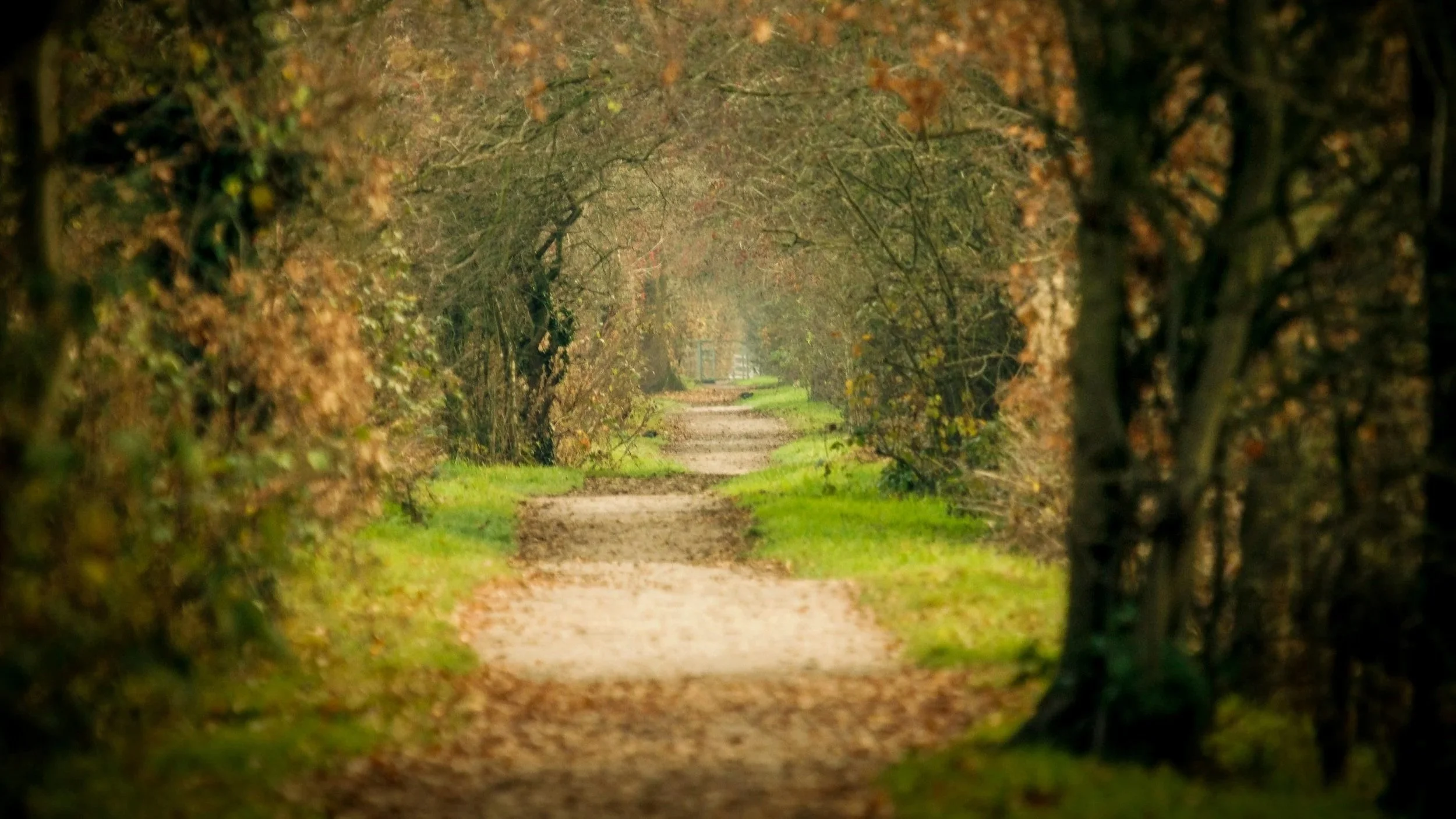 What Does It Mean To Really Follow Jesus?