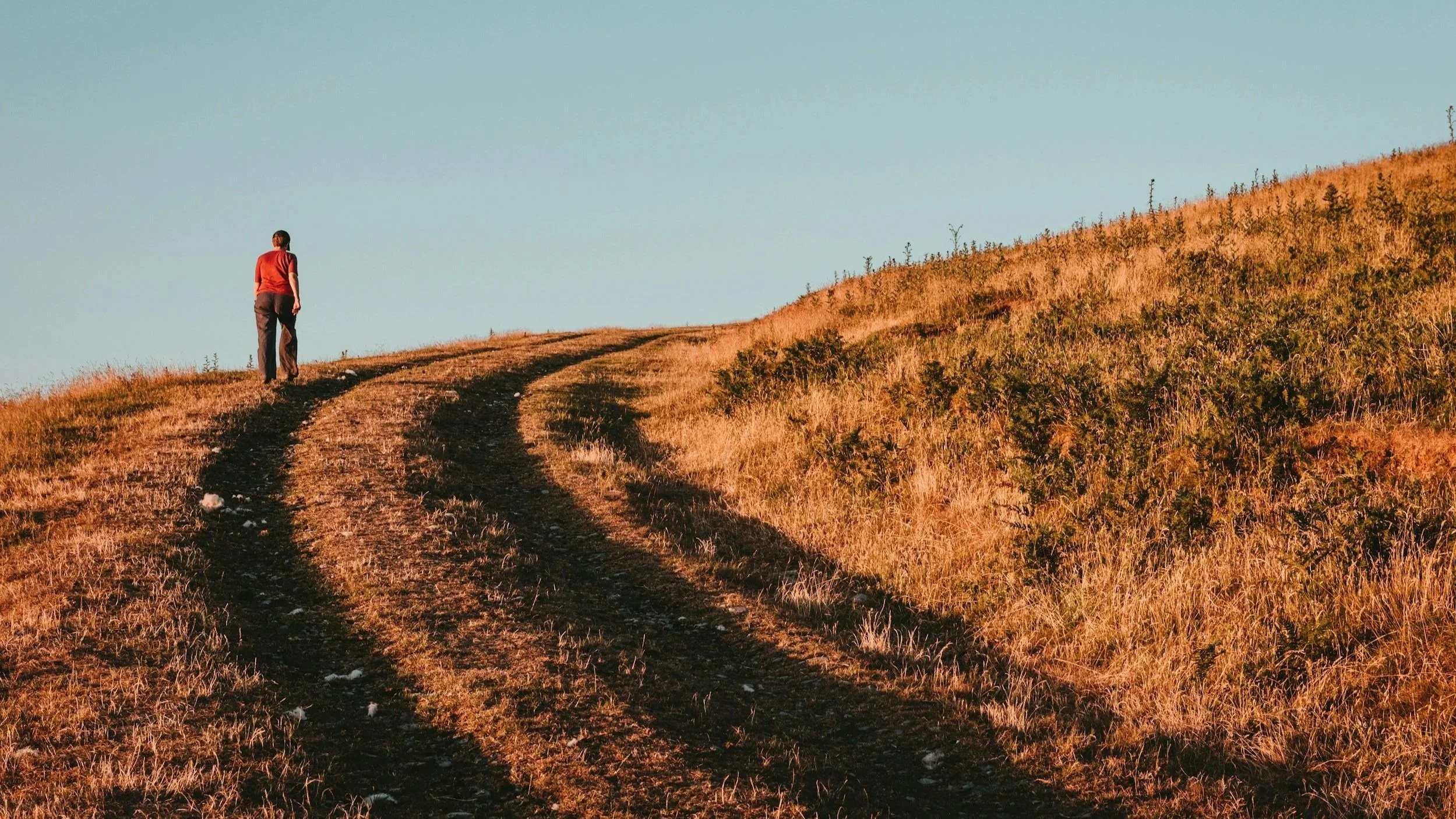 Why Does God Give Us Trials?