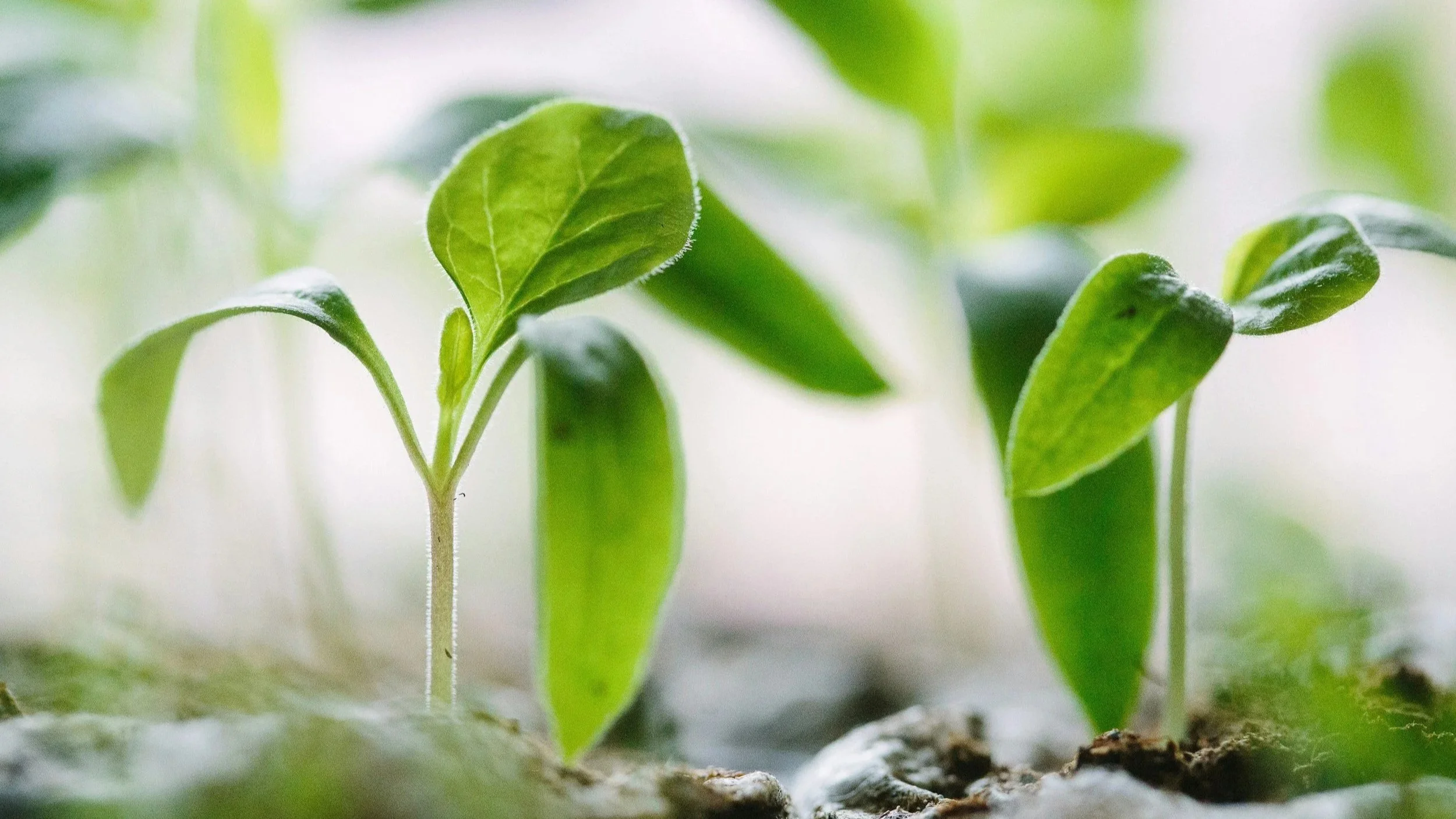 How To Grow Spiritually and Find Your Place in God’s Community