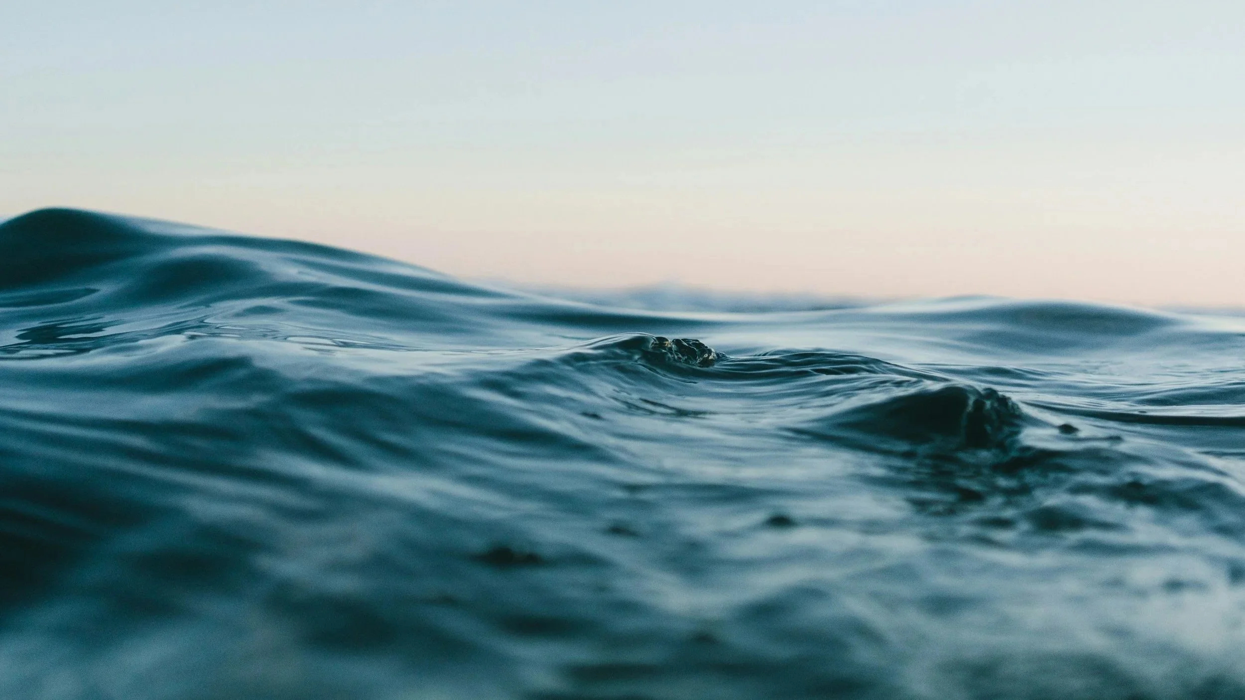 Does Baptism Save You? The Meaning of 1 Peter 3:20-21