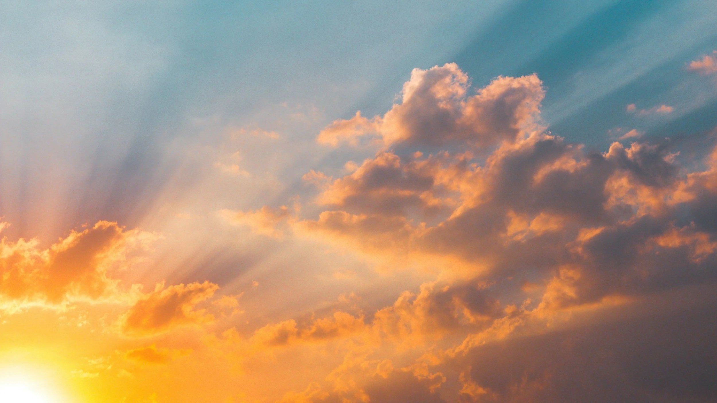 How Should You Prepare for the Return of Jesus?