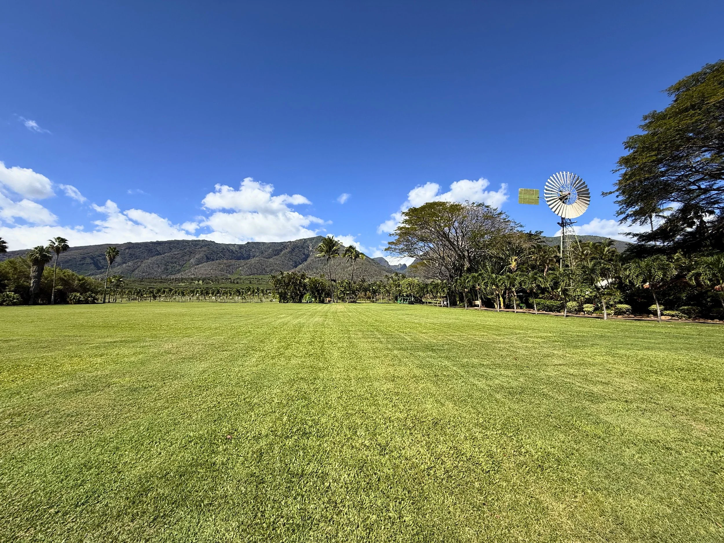The Field of Dreams - Waikapu