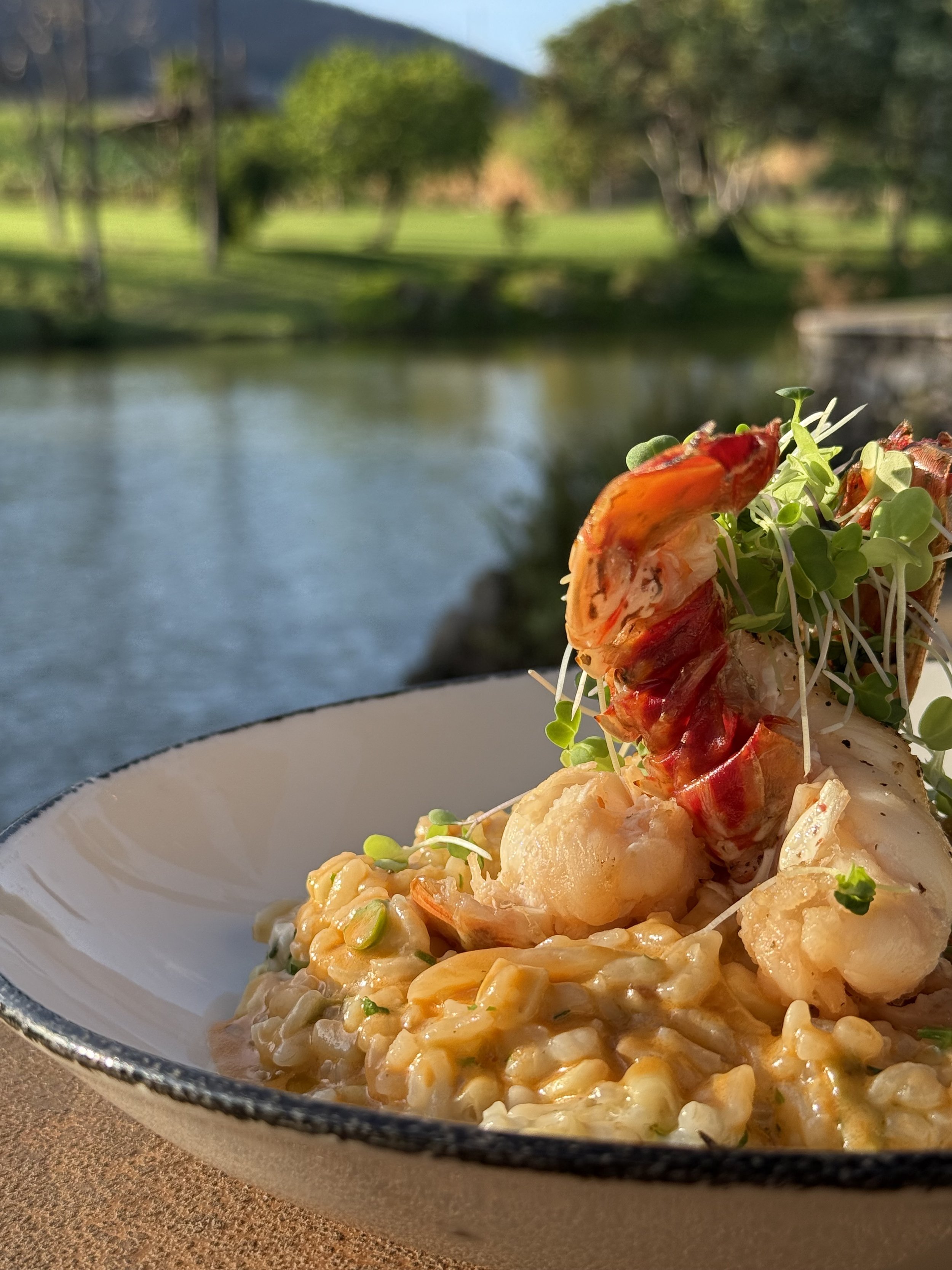 COLP Lobster Risotto 1.jpeg