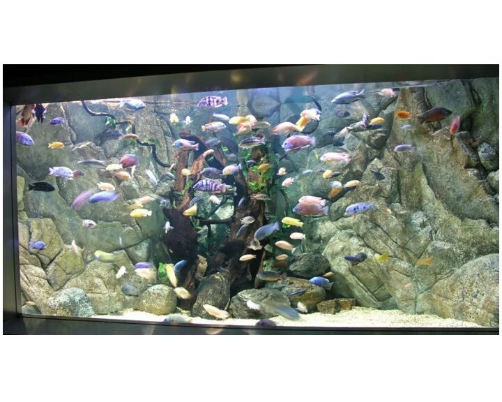 aquarium2.jpg